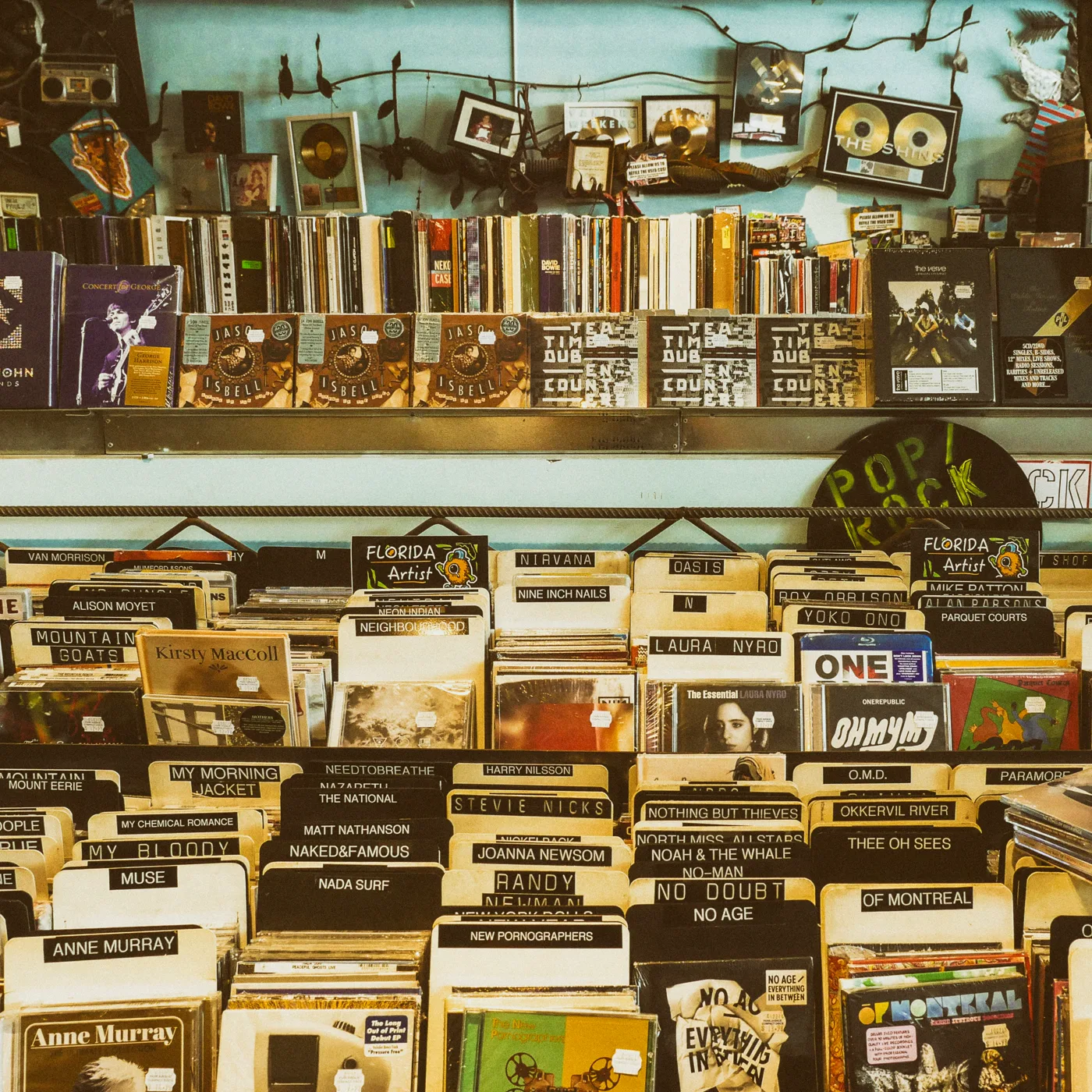 Record shop bins and shelves — Any Jungle